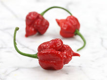 Trinidad Scorpion Pepper In A Can Hot Chili Plant Home Grow Kit Novelty Fun Gift
